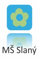 ikona MS1