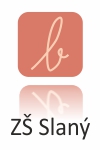 ikona ZS1